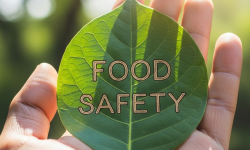 Food Safety2
